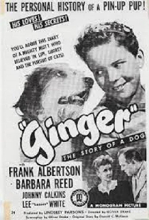 Ginger