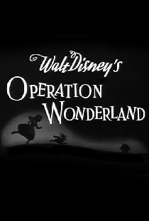 Operation Wonderland