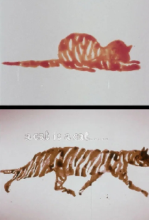 A Cat Is A Cat