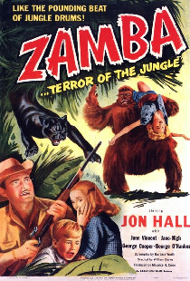 Zamba