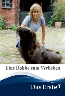 Eine Robbe zum Verlieben