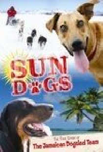 Sun Dogs