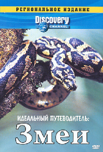 Discovery: Идеальный путеводитель. Змеи