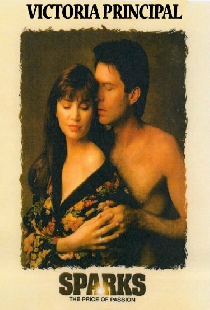 Sparks: The Price of Passion