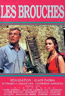 Заколки