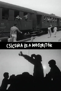 Топинамбур и комары