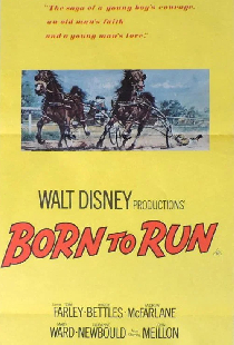 Born to Run