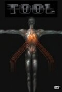 Tool: Salival