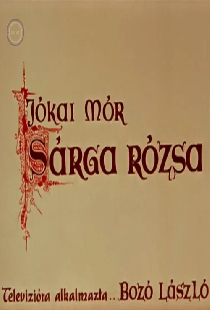 Sárga rózsa