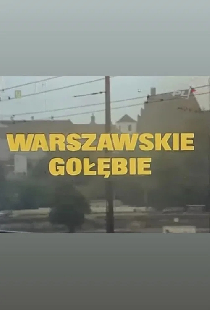 Варшавские голуби