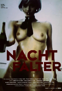 Nachtfalter
