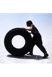 Жители страны тишины