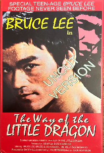 The Way of the Little Dragon