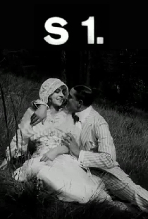 S1