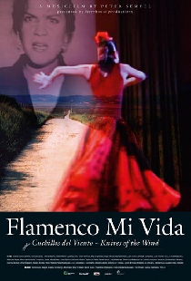Flamenco mi vida - Knives of the wind