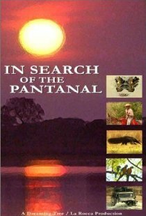 In Search of the Pantanal
