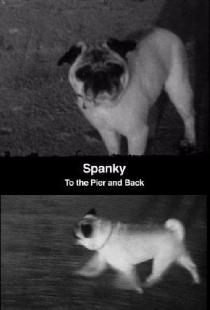 Spanky: To the Pier and Back