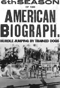 Hurdle Jumping; by Trained Dogs