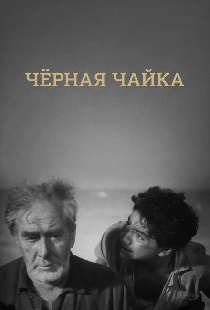 Черная чайка