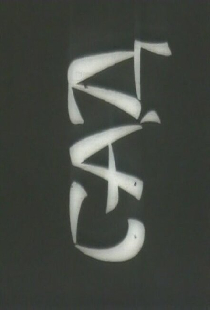 Сад