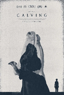 Calving