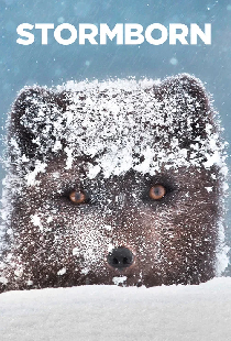 Рожденные бурей