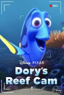 Dory's Reef Cam