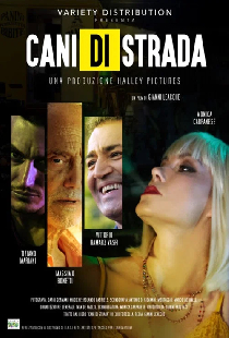 Cani di strada