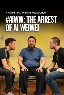 #aiww: The Arrest of Ai Weiwei