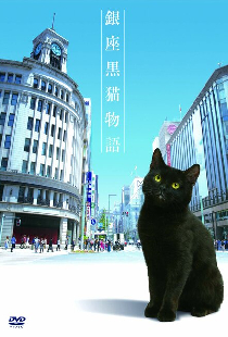 История чёрного кота из Гиндзы