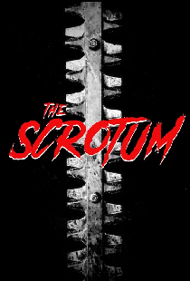 The Scrotum