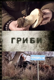 Грибы