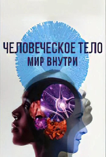 Человеческое тело: мир внутри