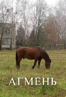 Агмень