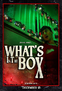 What's in the Box
