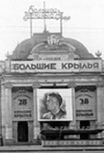 Большие крылья