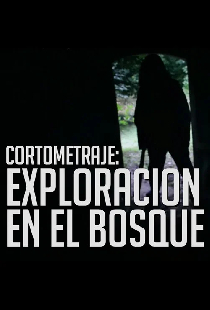 Trágica exploración en el Bosque