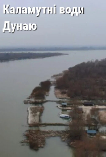 Мутные воды Дуная