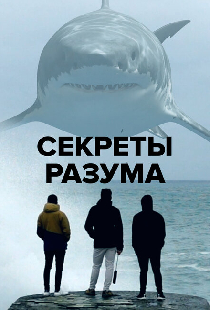 Секреты разума