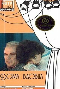Дома вдовца