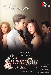 Профессиональная жена