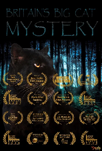 Britain's Big Cat Mystery