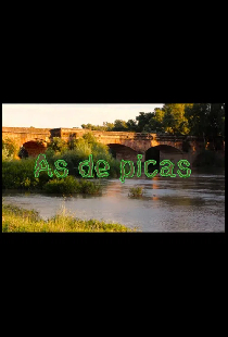 As de Picas