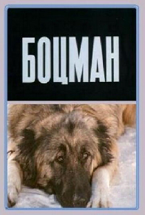 Боцман