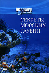 Секреты морских глубин