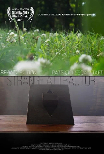Strange Attractor