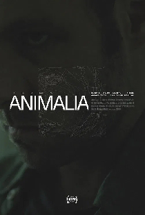 Animalia