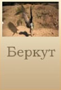 Беркут
