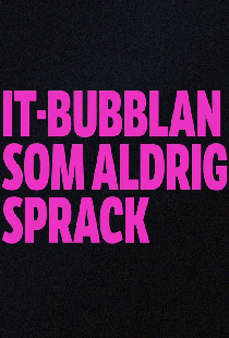 IT-bubblan som aldrig sprack