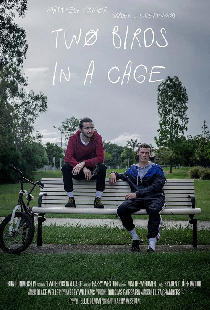 Two Birds in a Cage